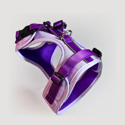 BLU: ARNÉS ERGONÓMICO + CORREA GRATIS - Pets Masters