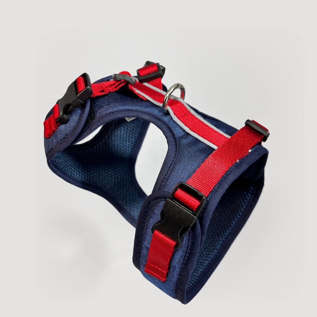 BLU: ARNÉS ERGONÓMICO + CORREA GRATIS - Pets Masters