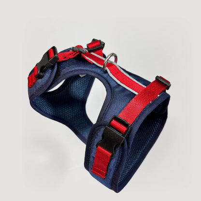 BLU: ARNÉS ERGONÓMICO + CORREA GRATIS - Pets Masters