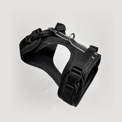 BLU: ARNÉS ERGONÓMICO + CORREA GRATIS - Pets Masters