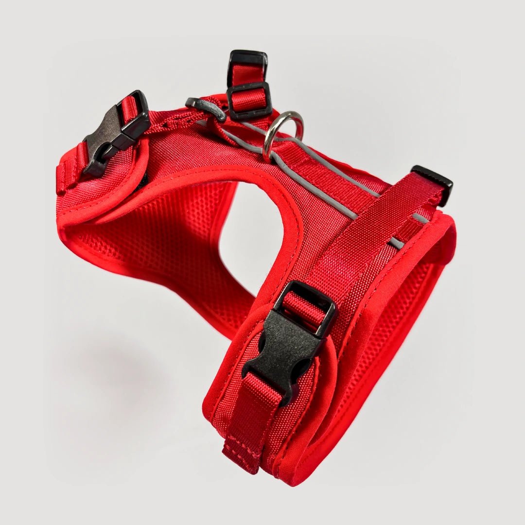 BLU: ARNÉS ERGONÓMICO + CORREA GRATIS - Pets Masters