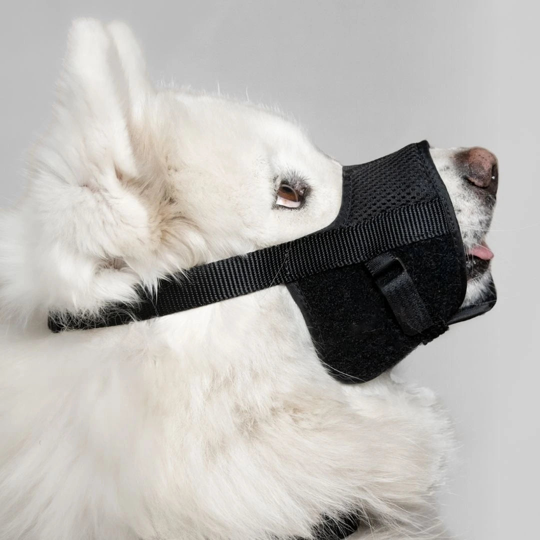 BOZAL CONFORT - Pets Masters