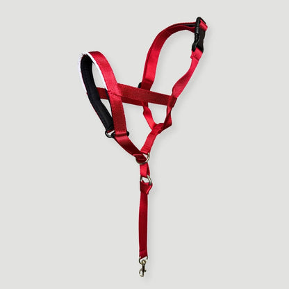 COLLAR ANTITIRONES - Pets Masters