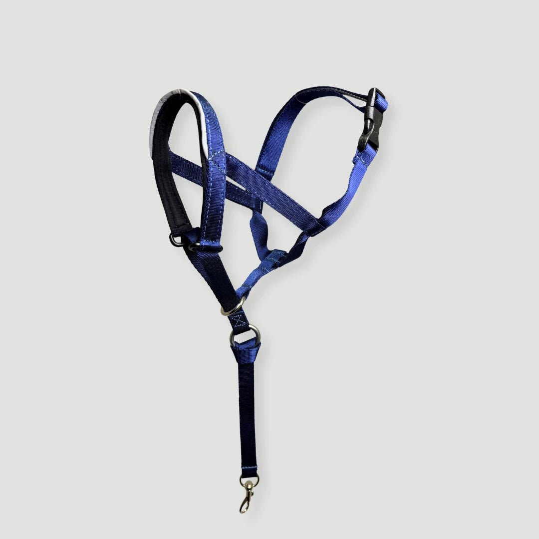 COLLAR ANTITIRONES - Pets Masters