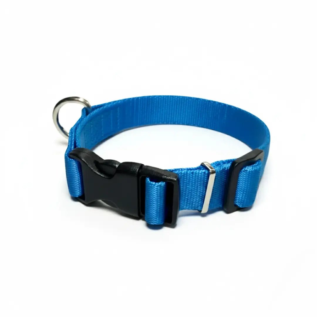 COLLAR IRIS - Pets Masters