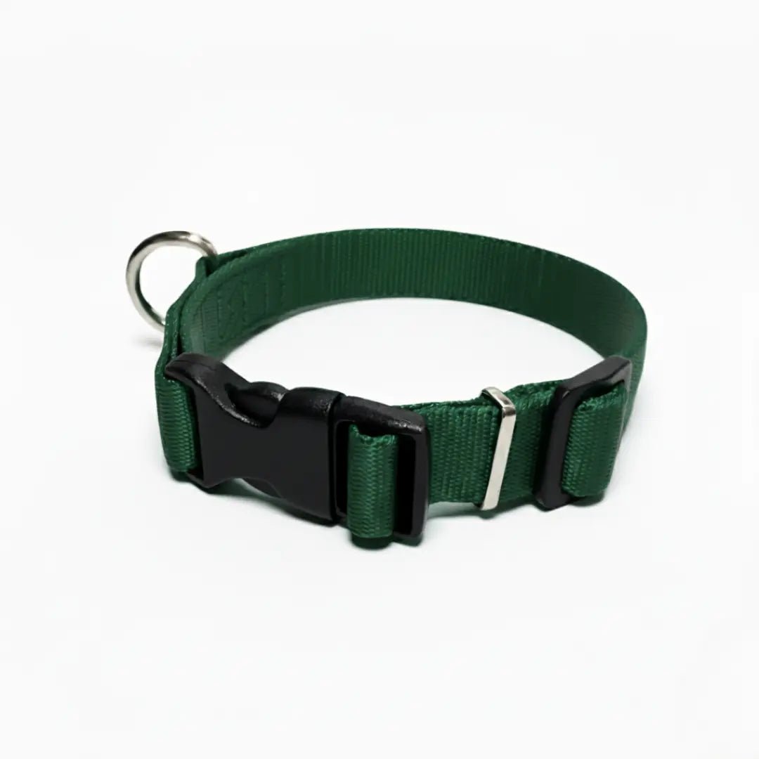 COLLAR IRIS - Pets Masters