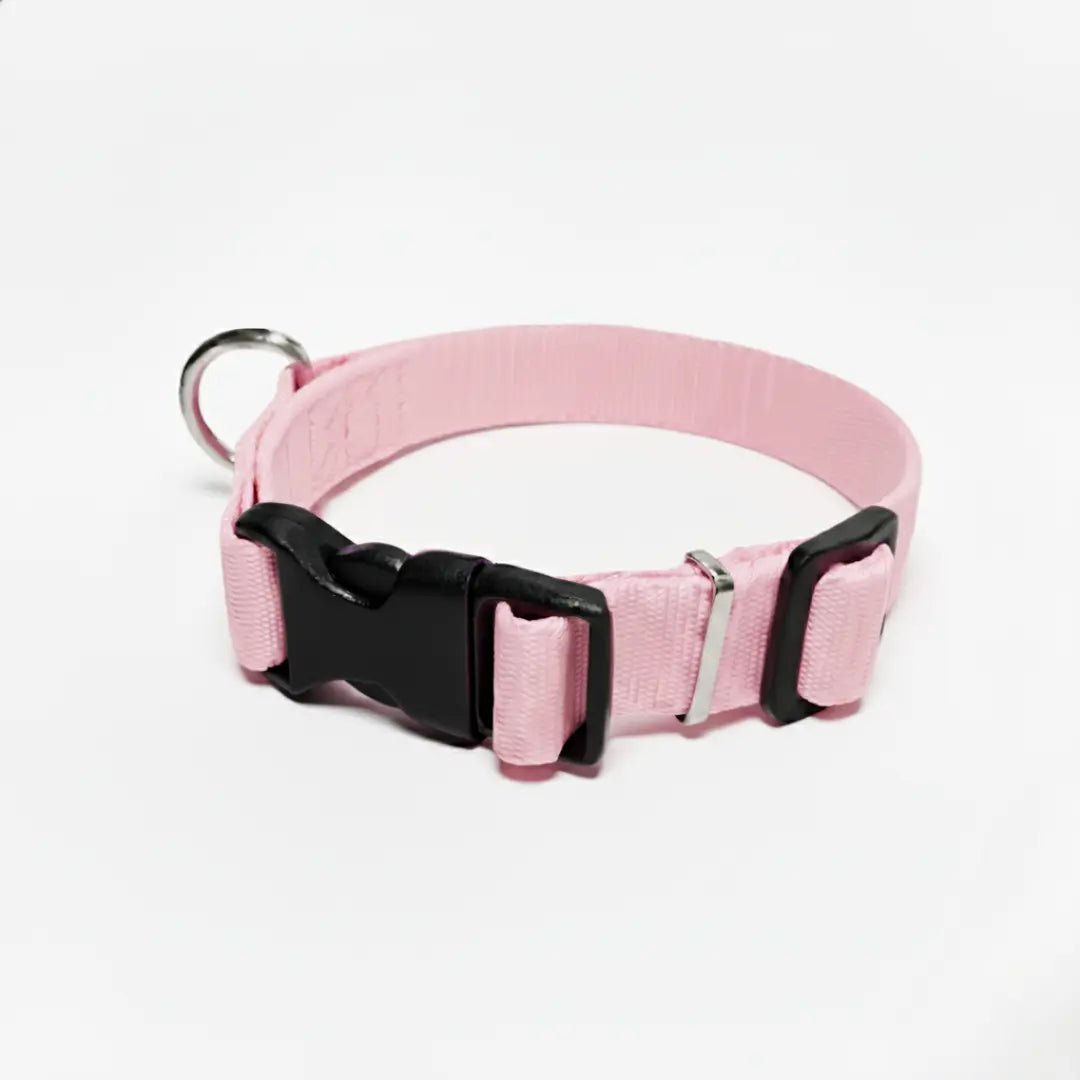 COLLAR IRIS - Pets Masters