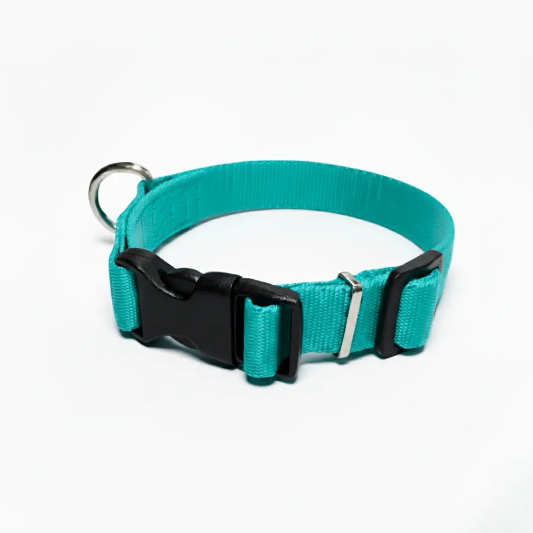 COLLAR IRIS - Pets Masters