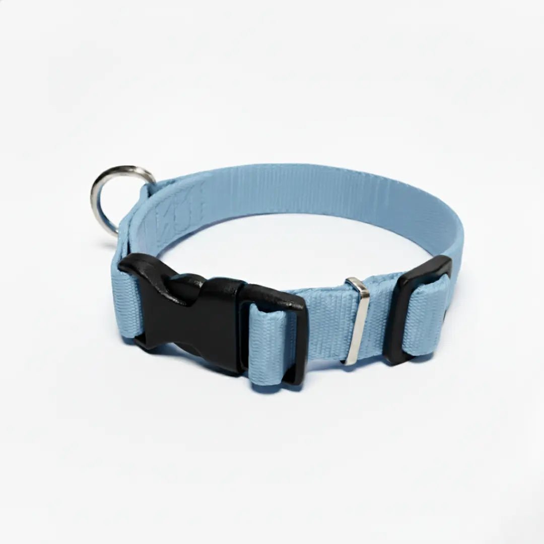 COLLAR IRIS - Pets Masters