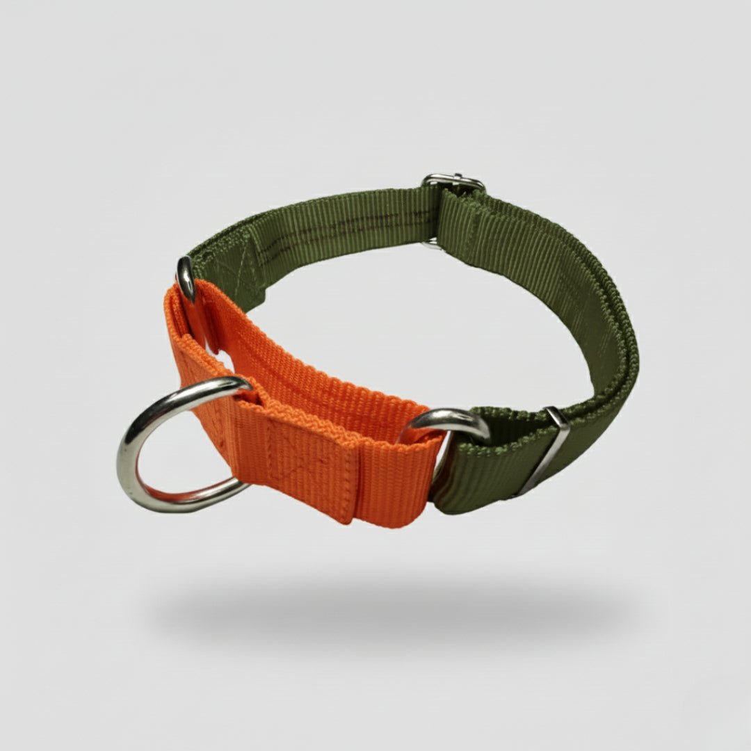 COLLAR MARTIN GALE - Pets Masters