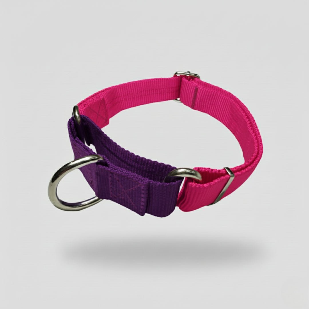 COLLAR MARTIN GALE - Pets Masters