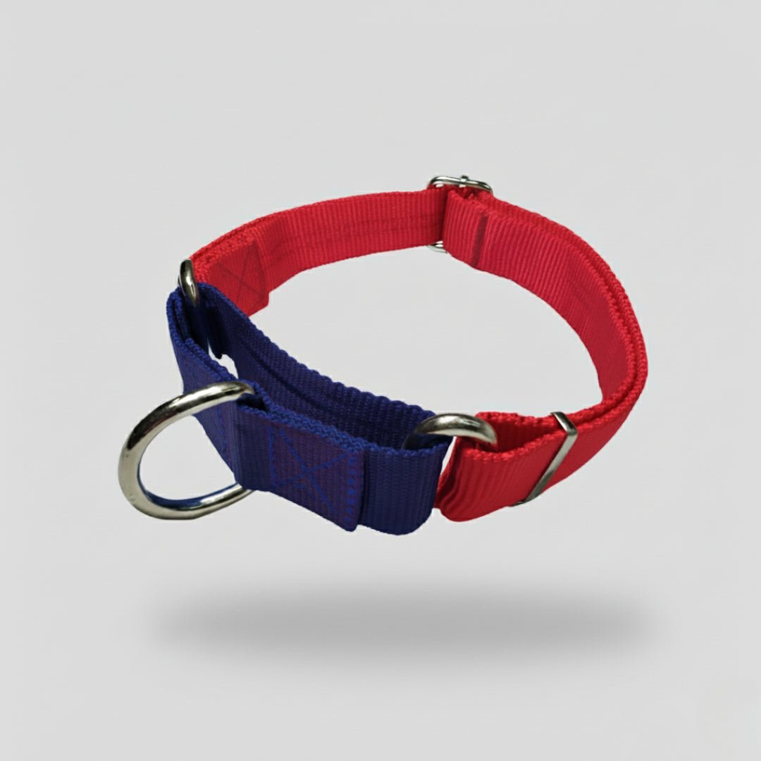 COLLAR MARTIN GALE - Pets Masters