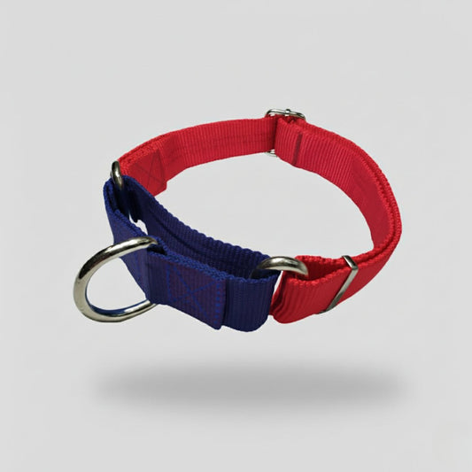 COLLAR MARTIN GALE - Pets Masters