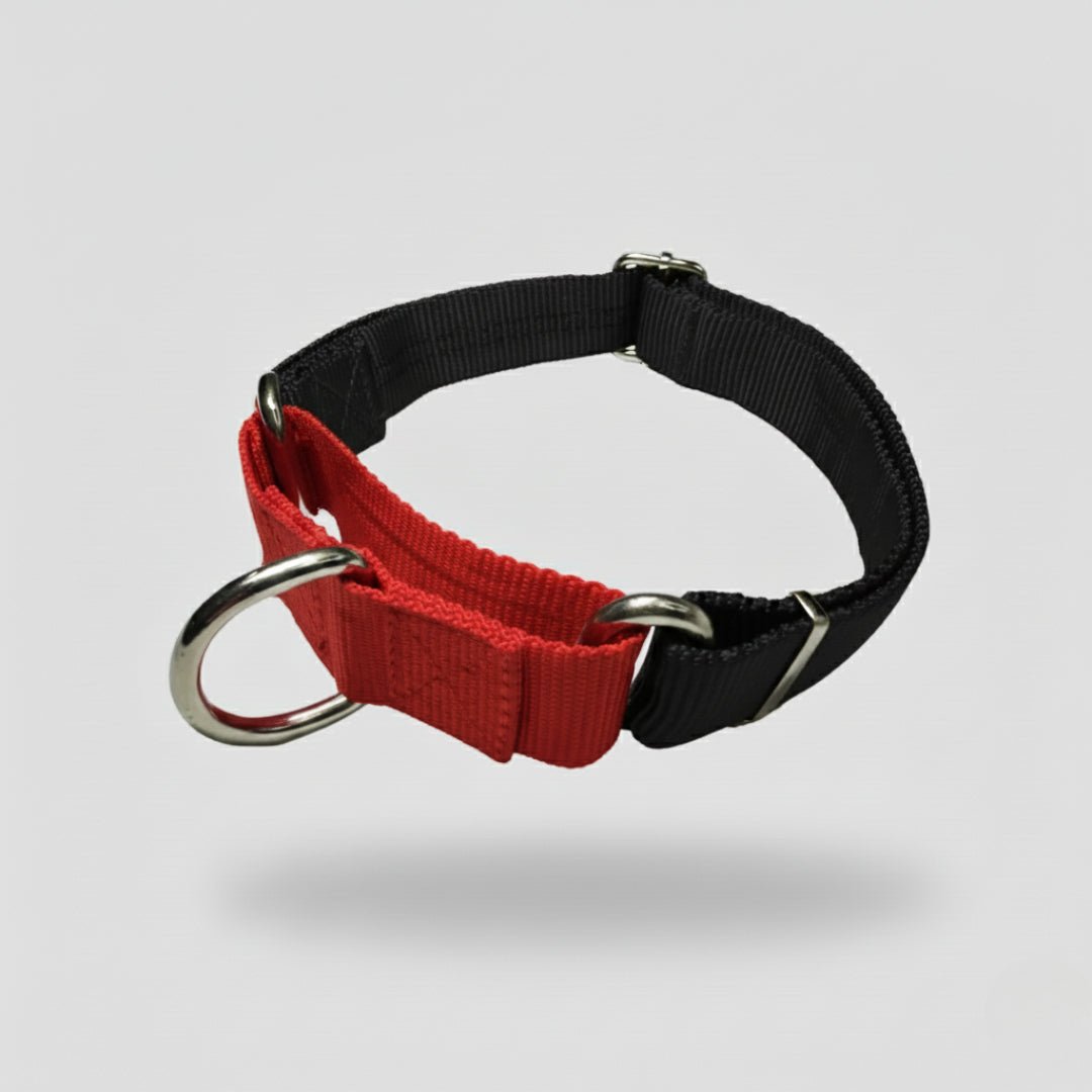 COLLAR MARTIN GALE - Pets Masters