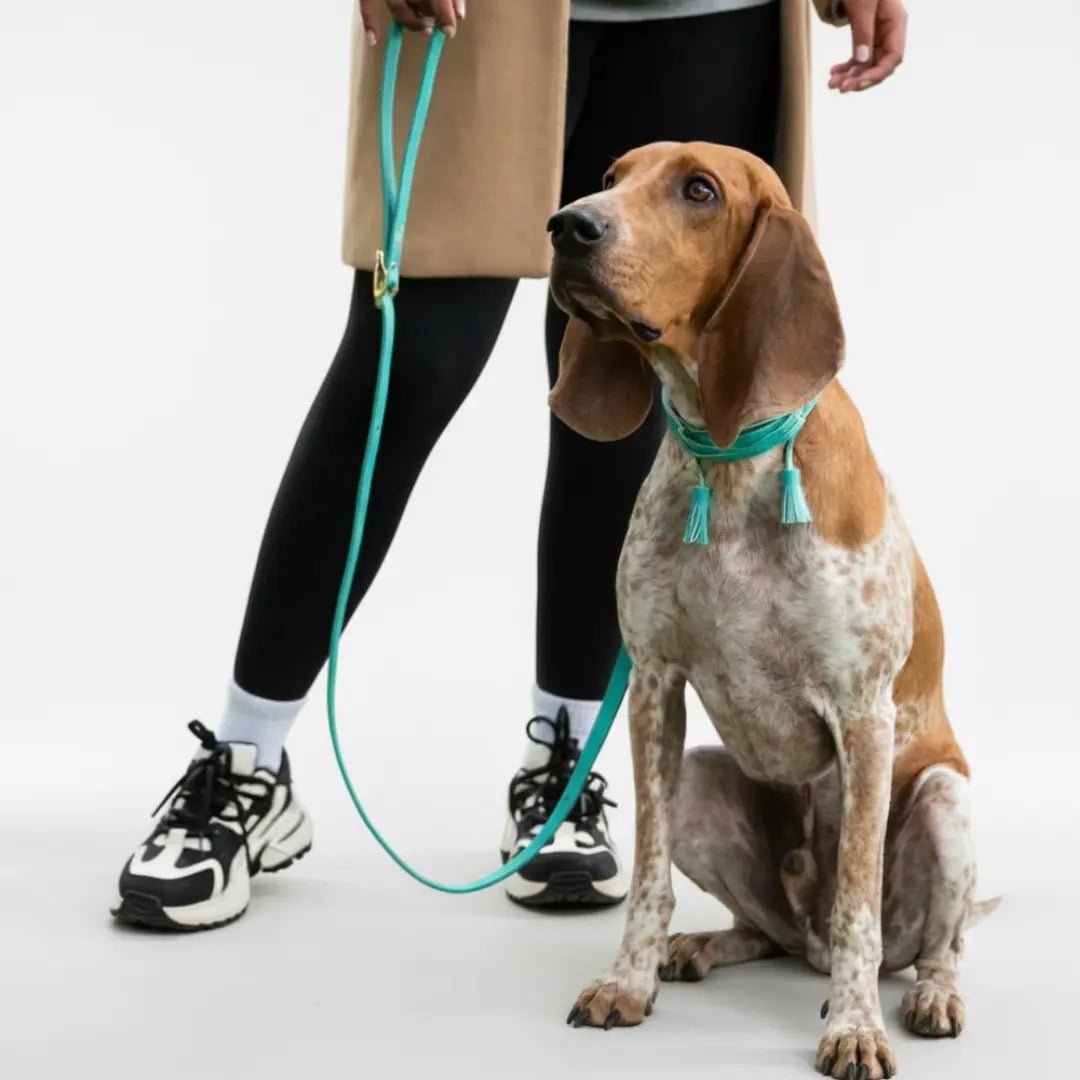 COMBO COLLAR POMPOM - Pets Masters