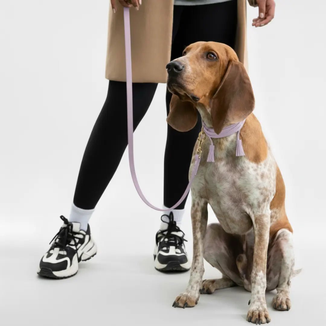 COMBO COLLAR POMPOM - Pets Masters