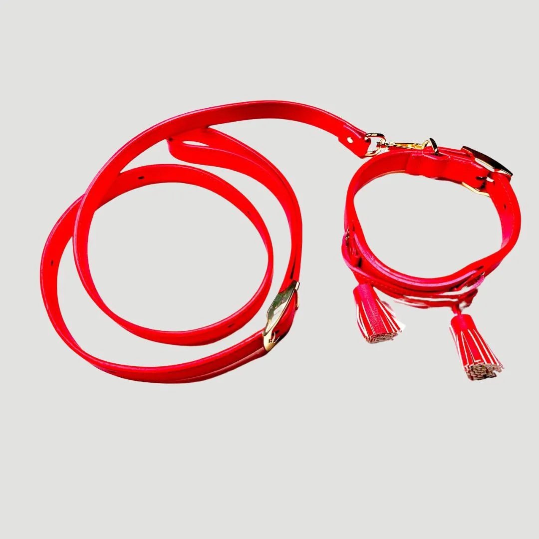 COMBO COLLAR POMPOM - Pets Masters