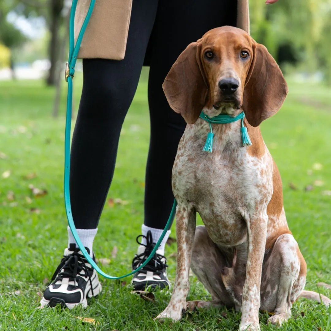 COMBO COLLAR POMPOM - Pets Masters