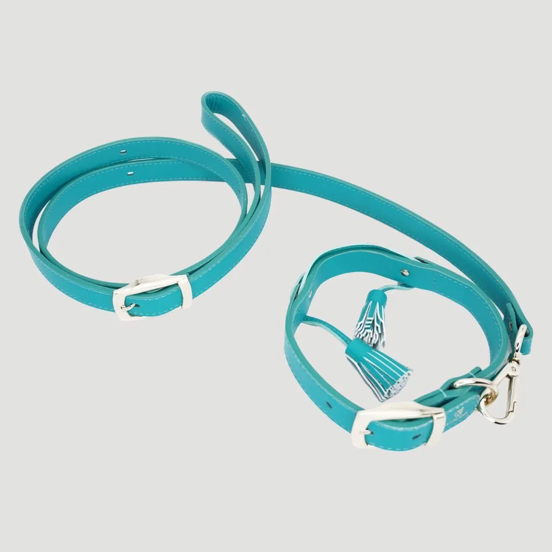 COMBO COLLAR POMPOM - Pets Masters