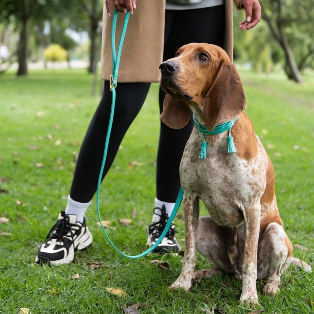 COMBO COLLAR POMPOM - Pets Masters