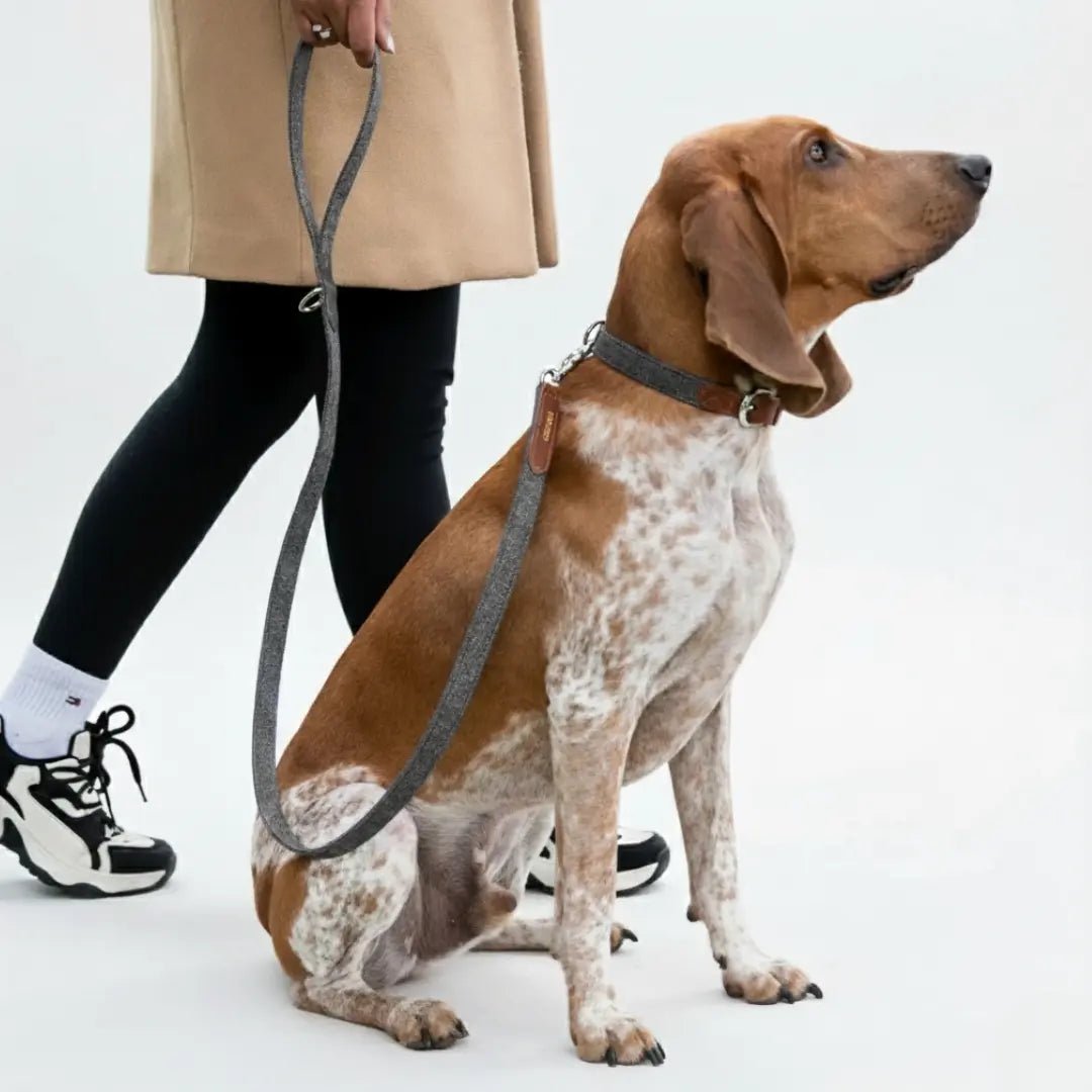 COMBO PANA - Pets Masters