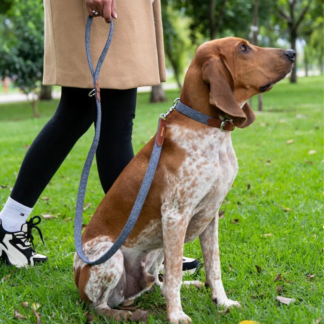 COMBO PANA - Pets Masters