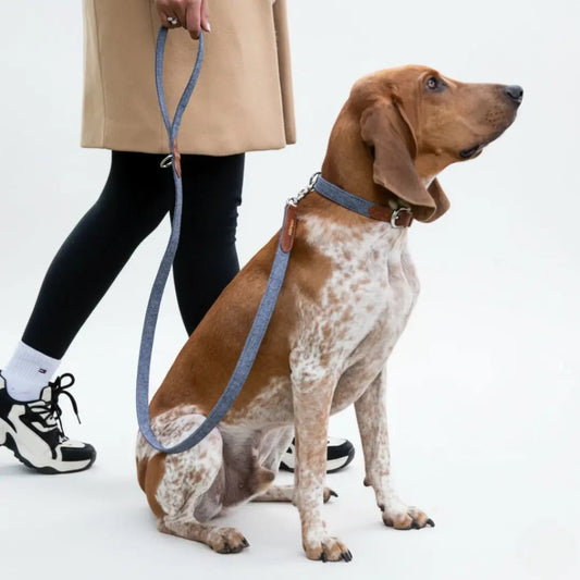 COMBO PANA - Pets Masters