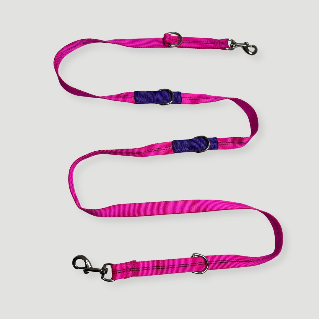 CORREA + COLLAR PRO - Pets Masters