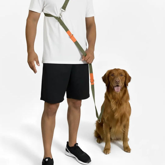 CORREA + COLLAR PRO - Pets Masters