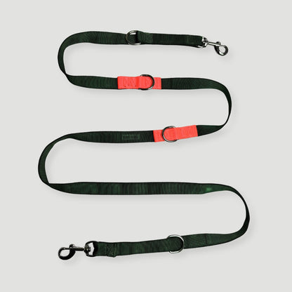 CORREA + COLLAR PRO - Pets Masters