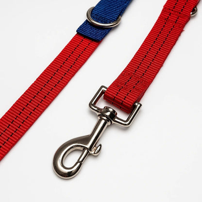 CORREA + COLLAR PRO - Pets Masters