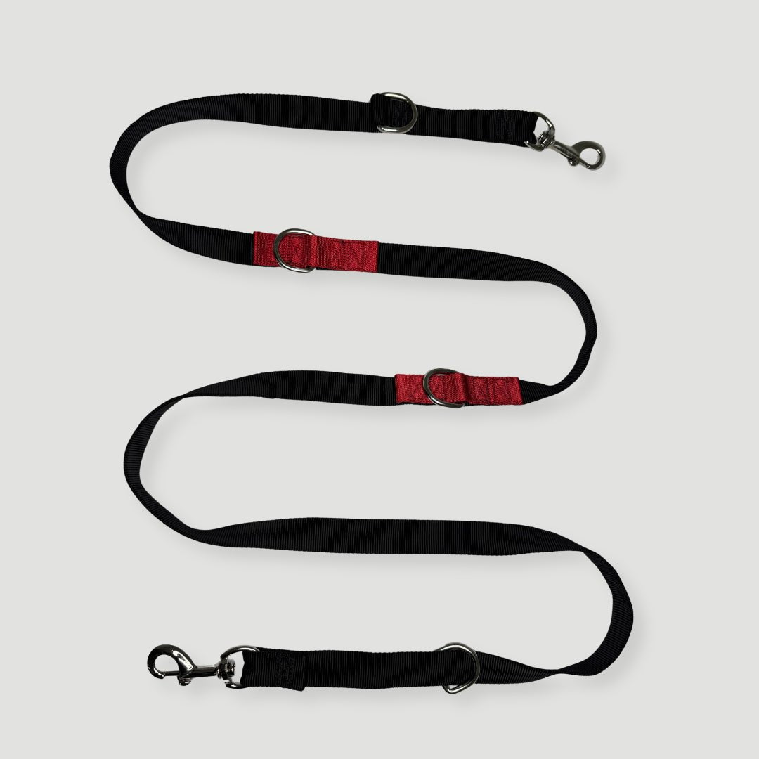 CORREA + COLLAR PRO - Pets Masters