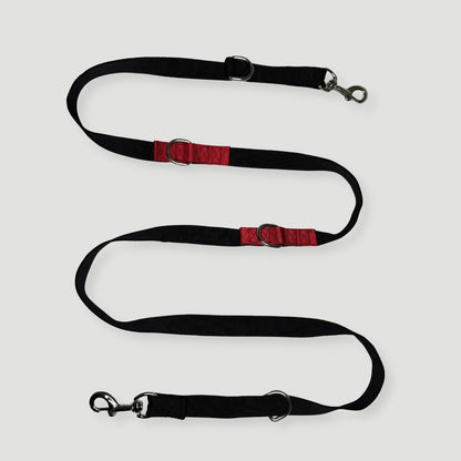 CORREA + COLLAR PRO - Pets Masters