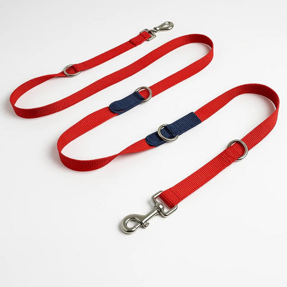 CORREA + COLLAR PRO - Pets Masters