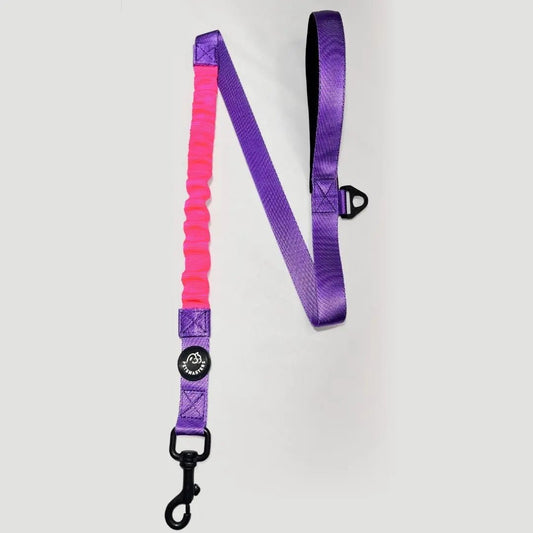 CORREA HALTY - Pets Masters