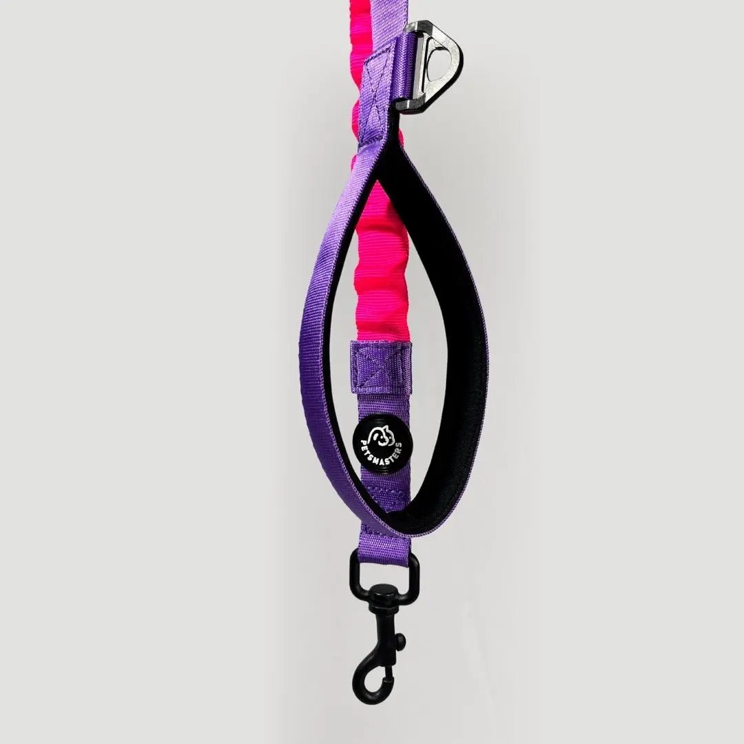 CORREA HALTY - Pets Masters