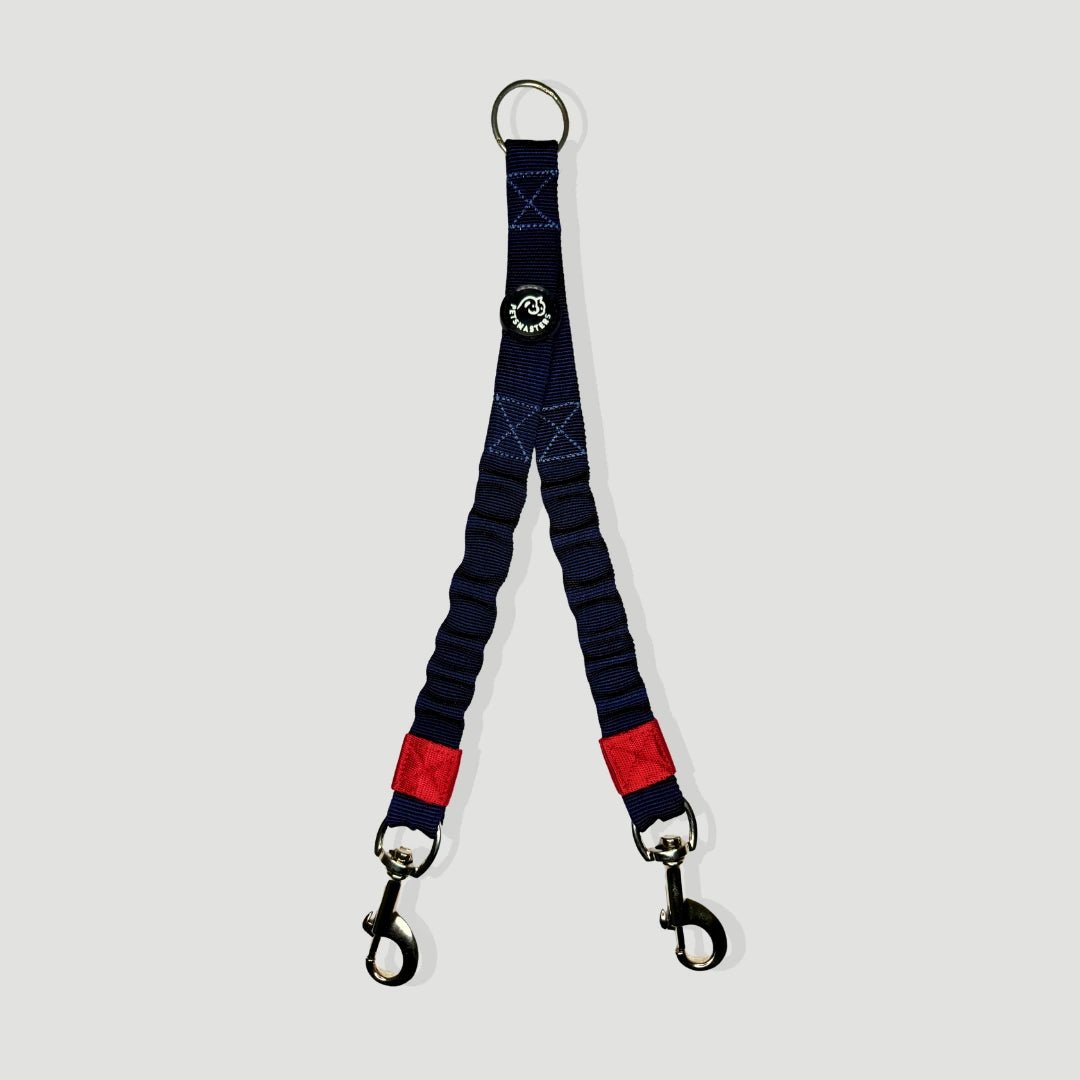 CORREA KING DOS PERROS - Pets Masters