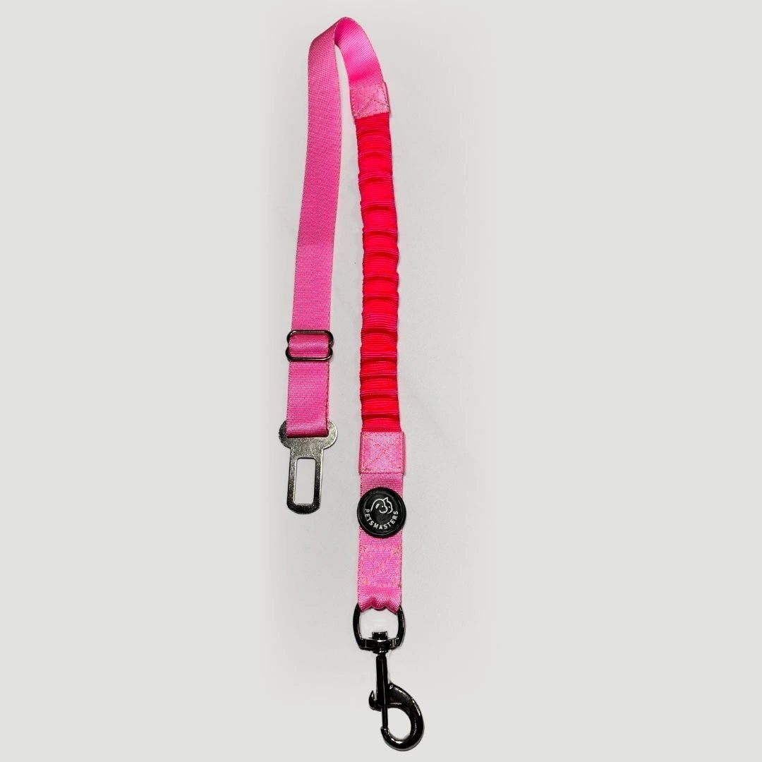 CORREA PARA CARRO AMORTIGUADORA - Pets Masters