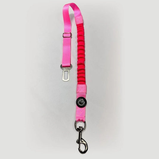 CORREA PARA CARRO AMORTIGUADORA - Pets Masters