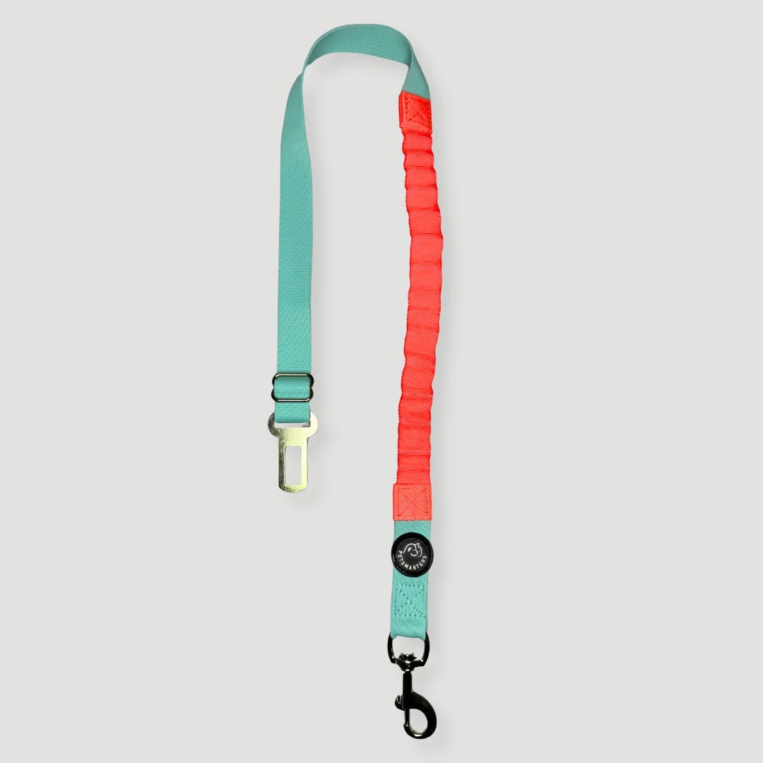 CORREA PARA CARRO AMORTIGUADORA - Pets Masters