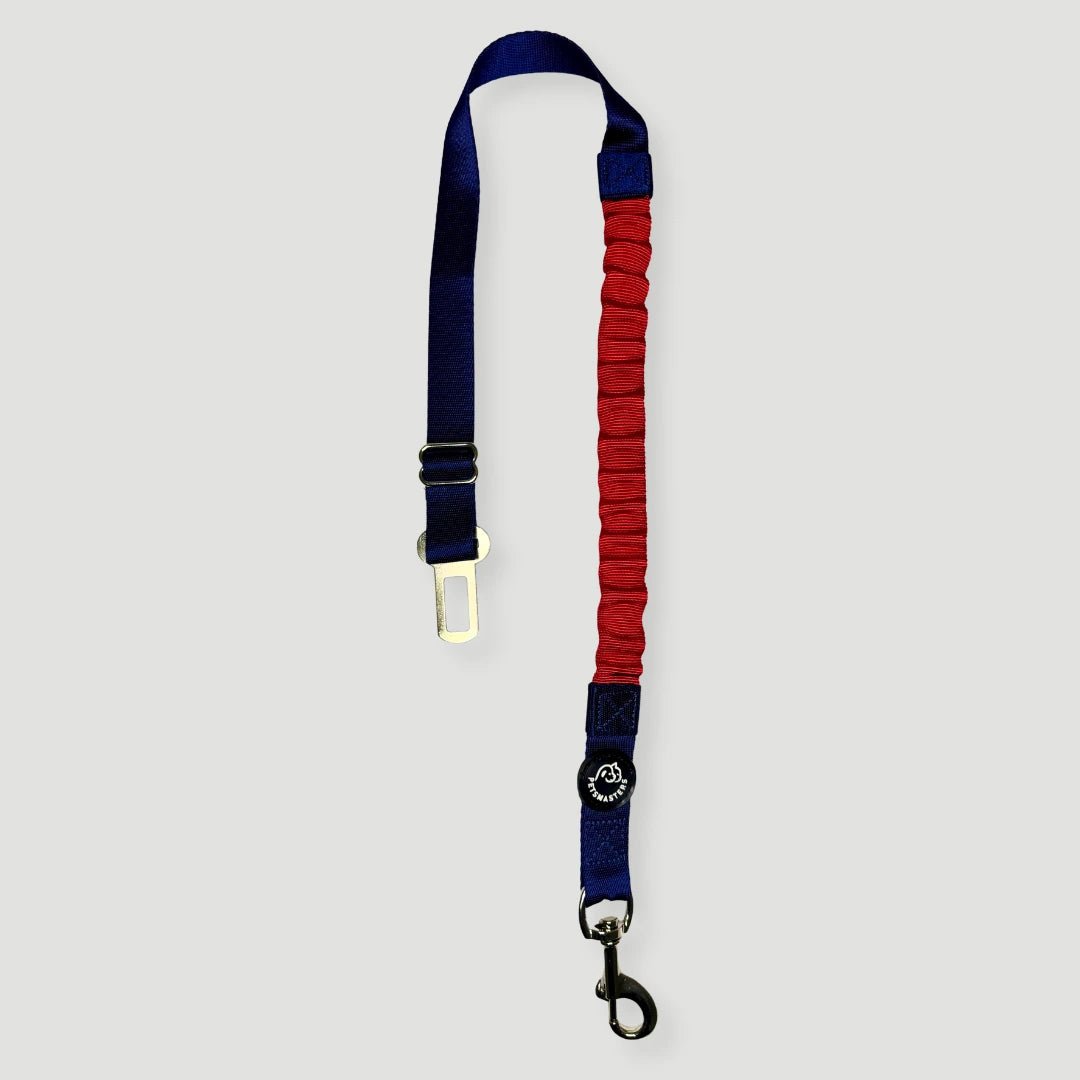 CORREA PARA CARRO AMORTIGUADORA - Pets Masters