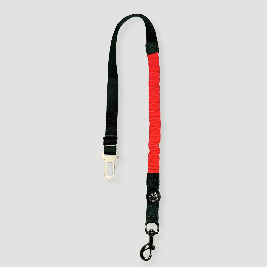 CORREA PARA CARRO AMORTIGUADORA - Pets Masters