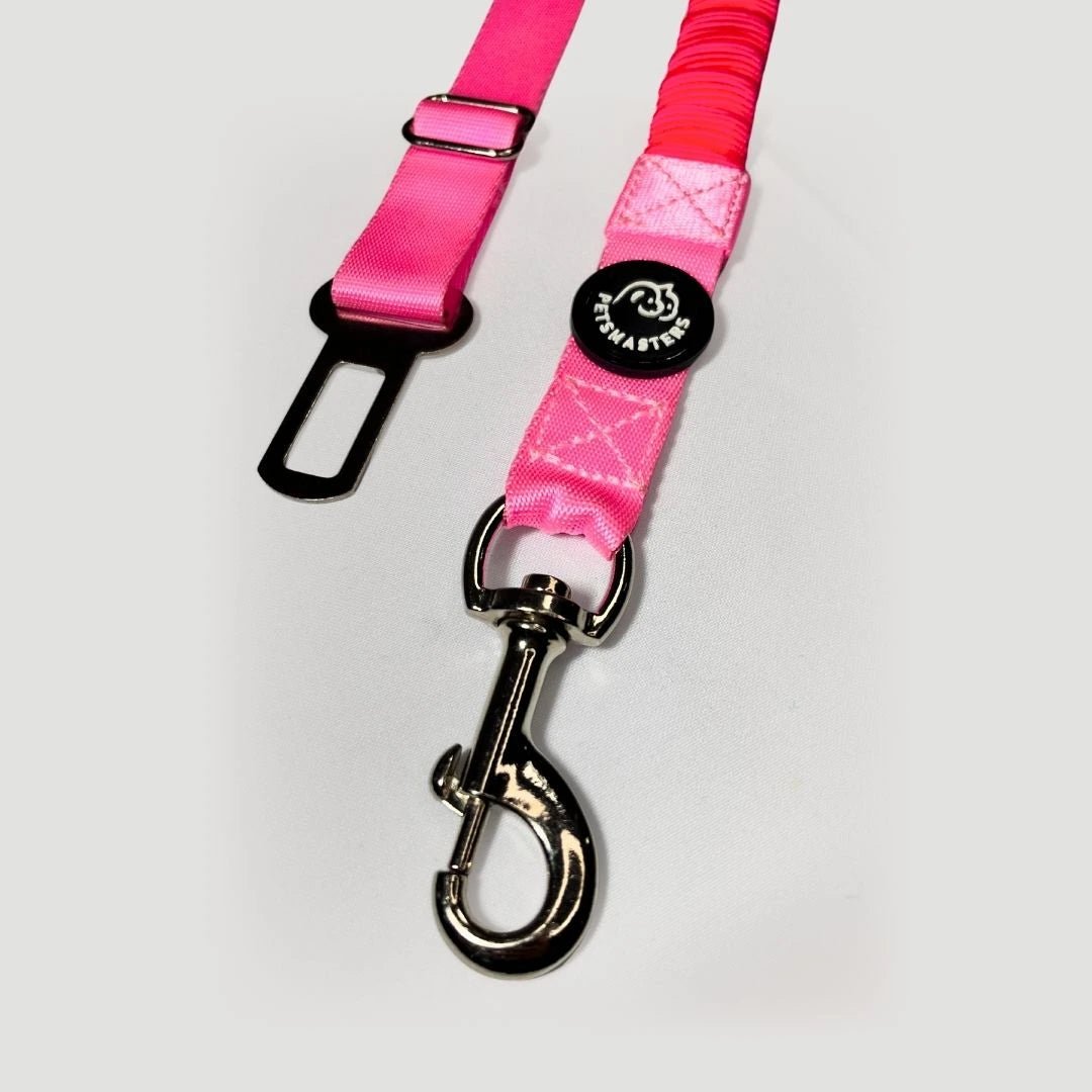 CORREA PARA CARRO AMORTIGUADORA - Pets Masters