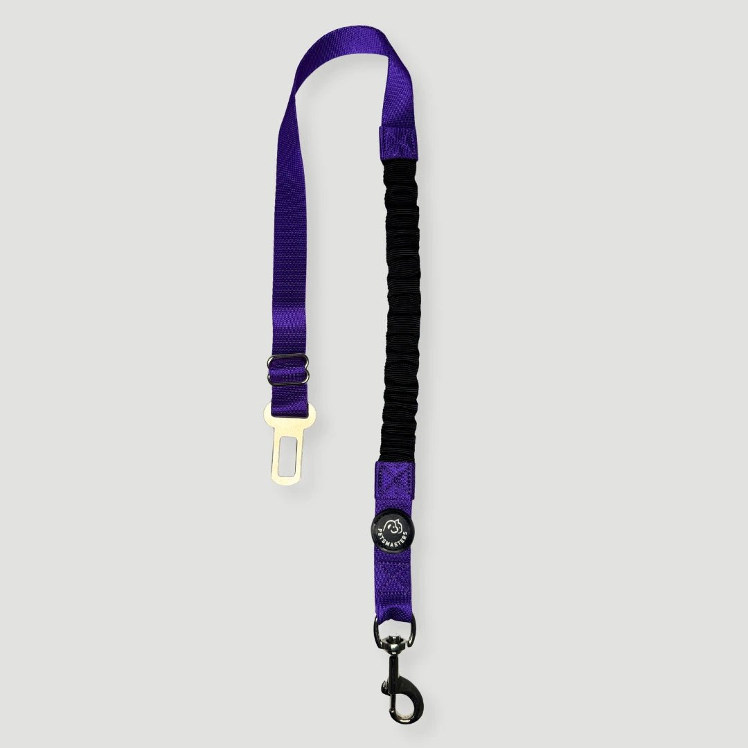 CORREA PARA CARRO AMORTIGUADORA - Pets Masters