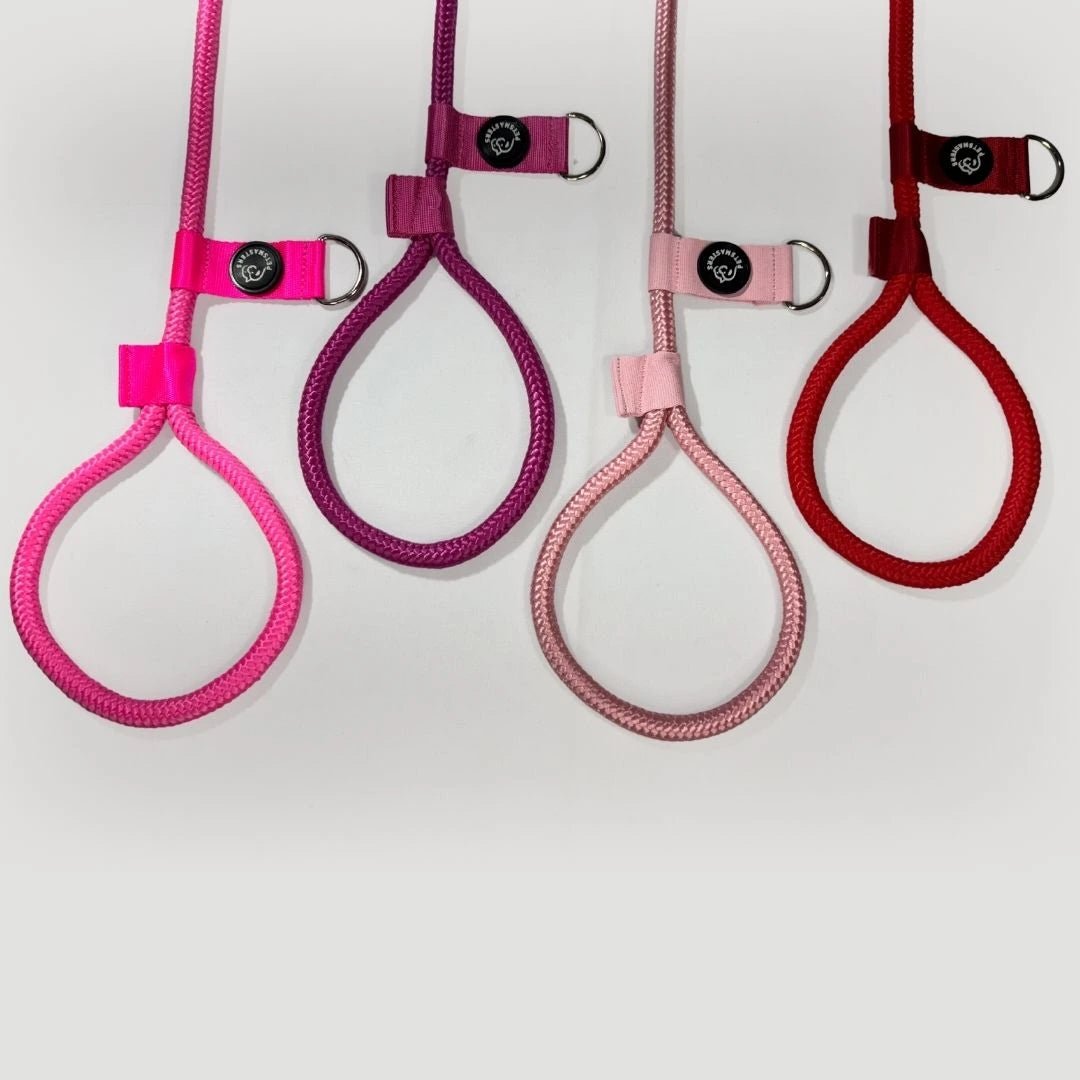 CORREA POLO 2 - Pets Masters