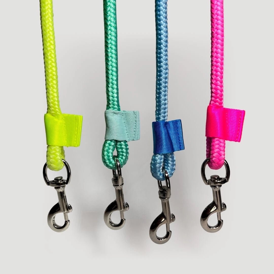 CORREA POLO 2 - Pets Masters