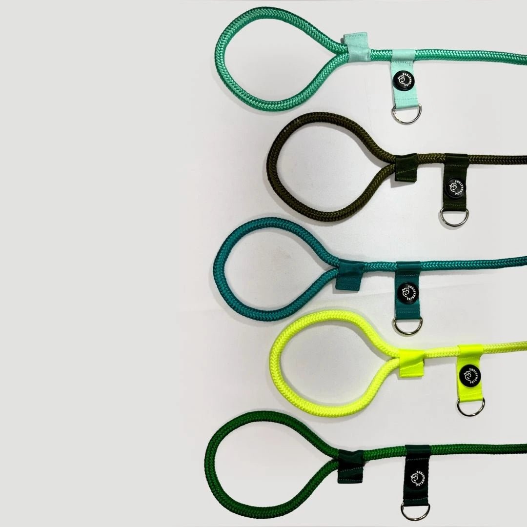 CORREA POLO 2 - Pets Masters