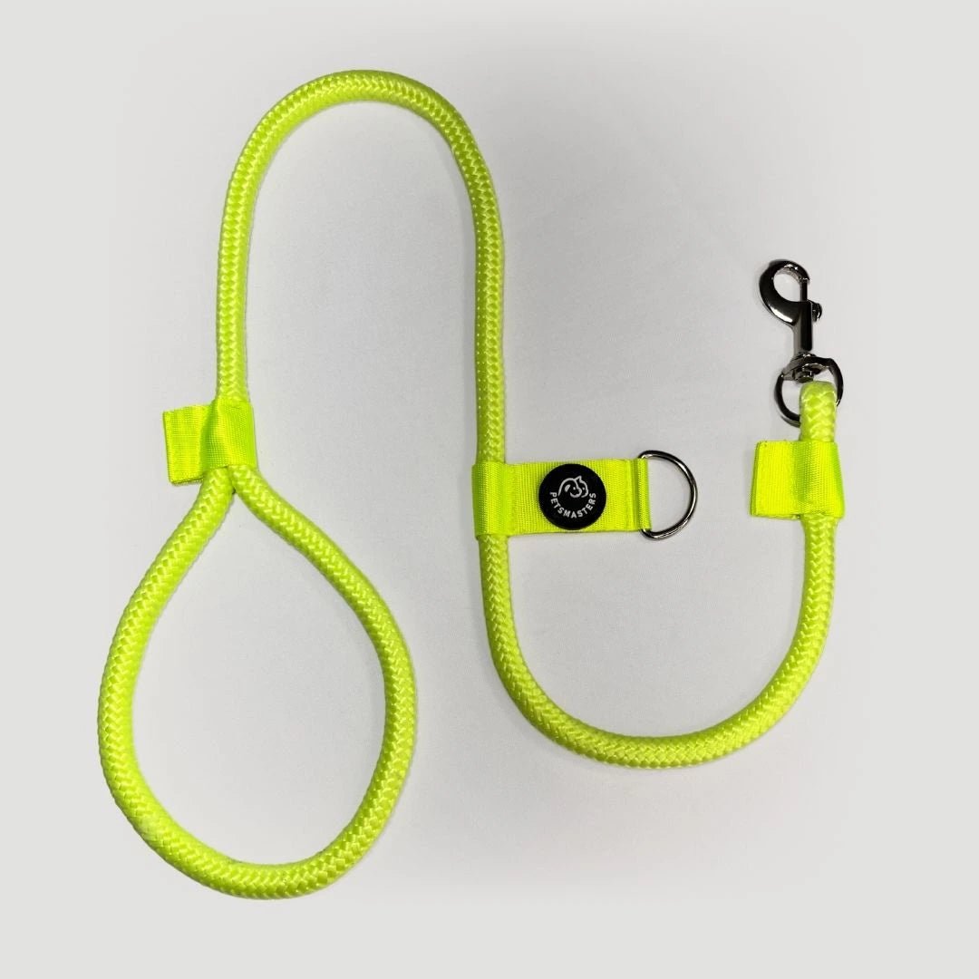 CORREA POLO 2 - Pets Masters