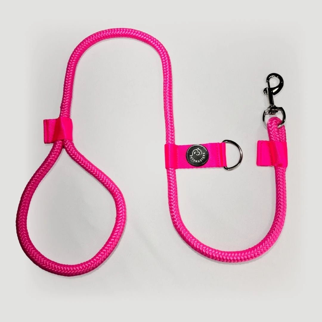 CORREA POLO 2 - Pets Masters