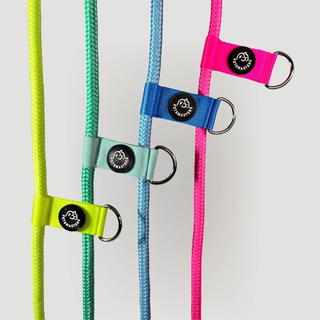 CORREA POLO 2 - Pets Masters